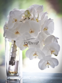Buchet orhidee Carmen Events