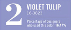 Violet Tulip
