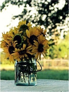 Aranjamente de nunta cu floarea soarelui
