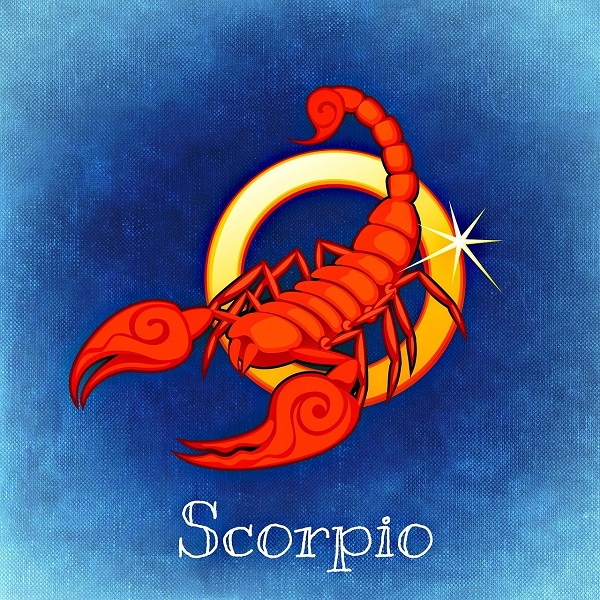 scorpion