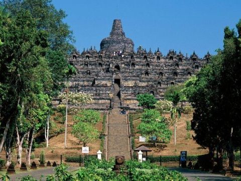 Bali Bali