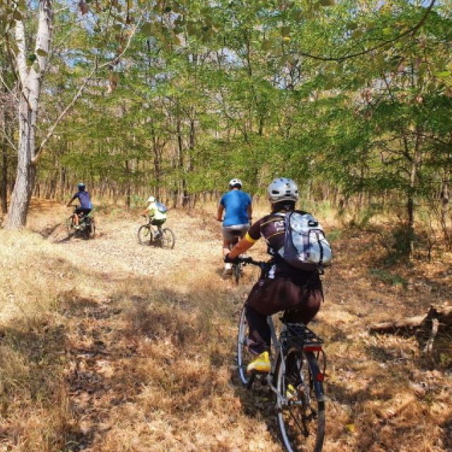 Un nou traseu de drumetie si cicloturism Elis Routes a fost inaugurat la Urlati