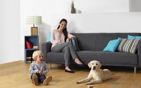 Time to party? Time to clean? Rowenta Clean & Steam te ajuta sa termini curatenia la timp