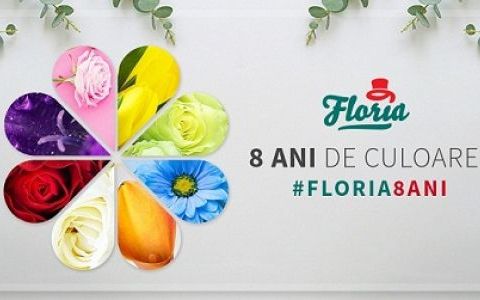 Floria sarbatoreste 8 ani de culoare 