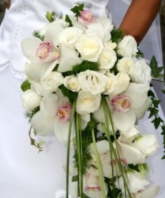 Buchet orhidee Madline Flowers Buchet orhidee Madline Flowers