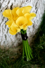 Buchet cale galbene saria