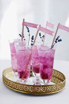 Candy Bar Radiant Orchid