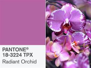 Radiant Orchid - culoarea anului 2014