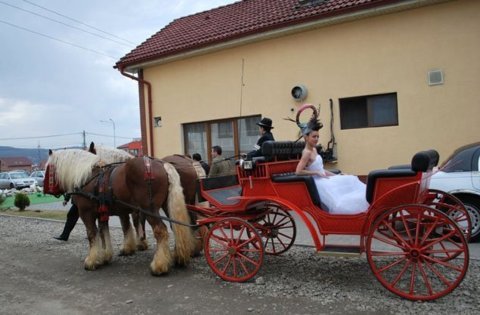 Trasura cu cai de inchiriat la nunta