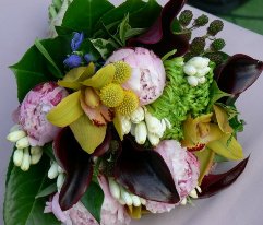 Buchet de mireasa cu craspedia, tuberose, cale, bujori, orhidee cymbidium, gentian, mure