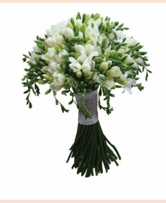 buchet de mireasa frezii albe