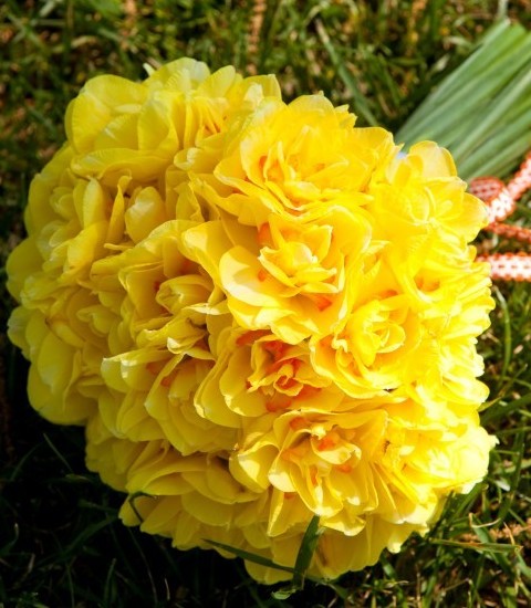 Buchet de mireasa din flori galbene