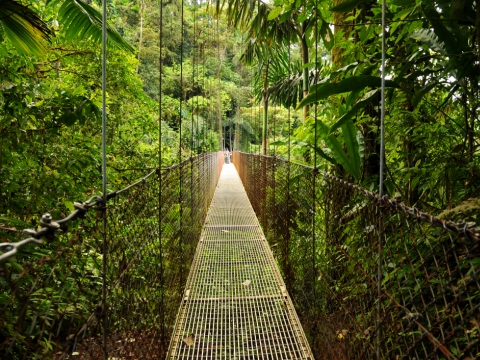 Poduri suspendate in Parcul National Arenal, Costa Rica