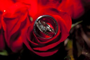 Poza trandafir rosu de nunta inel de nunta