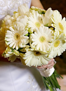 buchet de gerbera