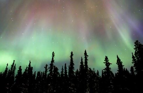 Aurora boreala in Whitehorse, Canada