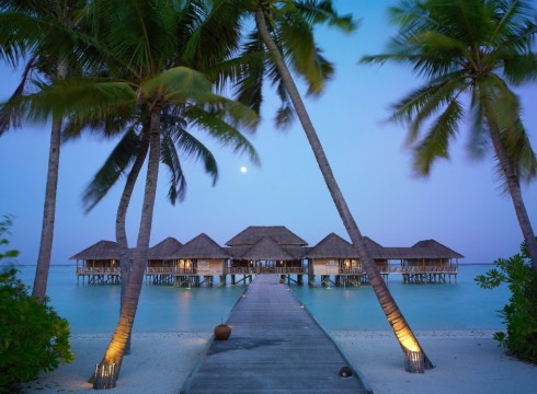 Maldive