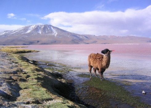 Bolivia