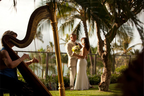 Harpa nunta
